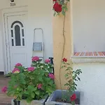 Vera *
